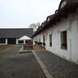 Ol�iny